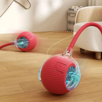 New Cat Interactive Ball Toy Automatic Rolling Ball