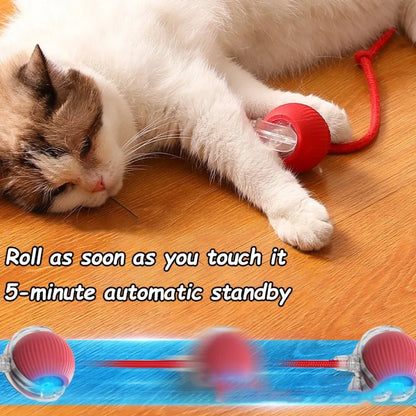 New Cat Interactive Ball Toy Automatic Rolling Ball
