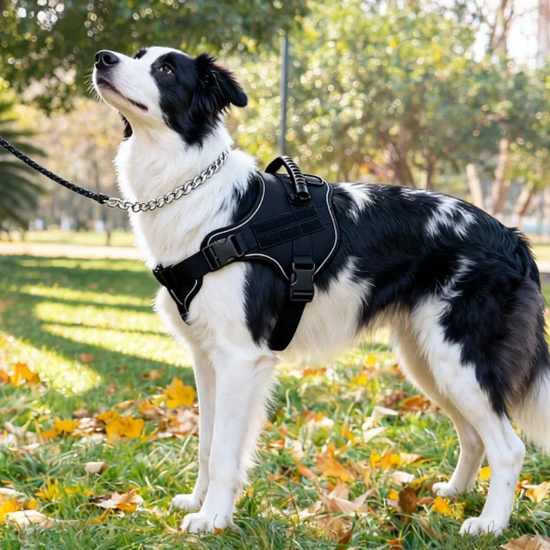 Tactical Military Vest Dog Harness Pet Doberman Training Dog