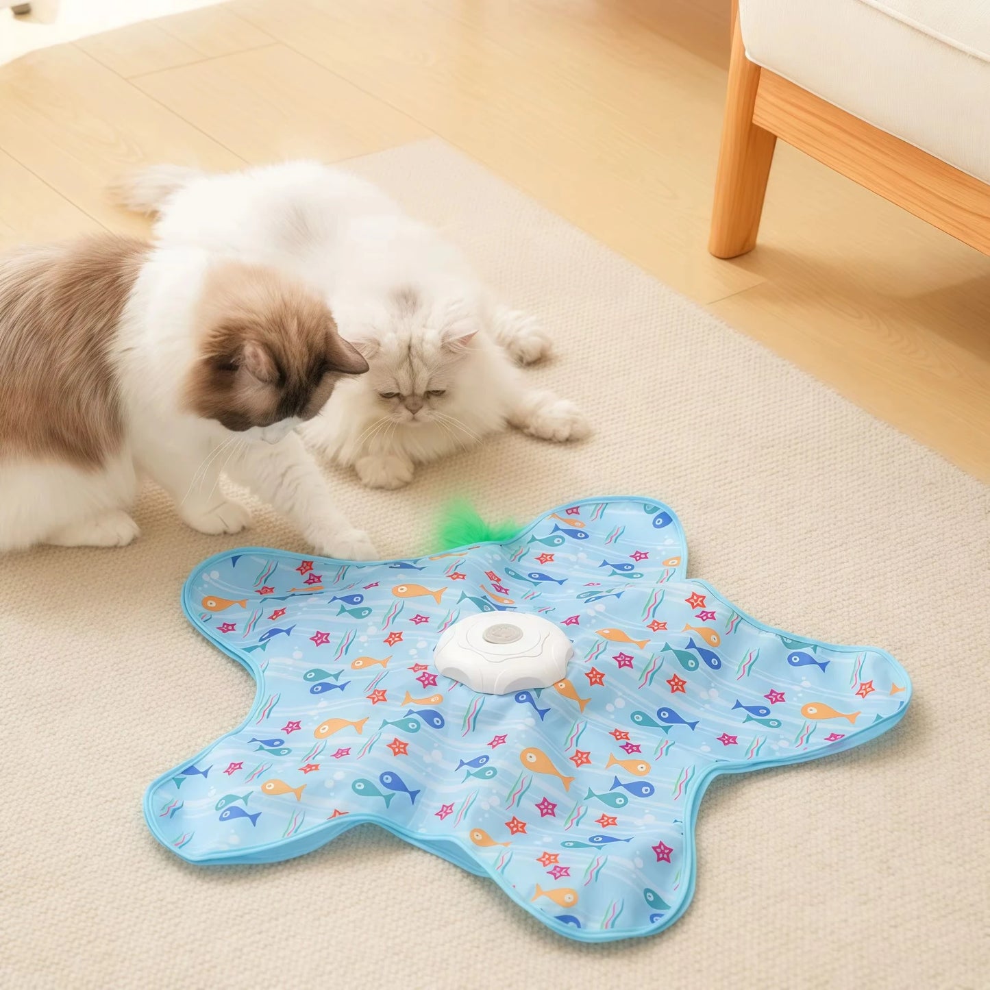 Cat Toys Interactive Hide and Seek Cat Toy with Mouse