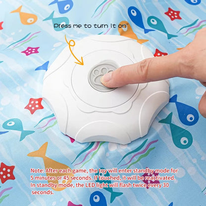 Cat Toys Interactive Hide and Seek Cat Toy with Mouse