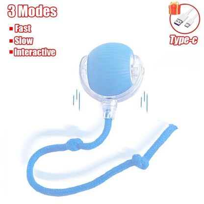 New Cat Interactive Ball Toy Automatic Rolling Ball