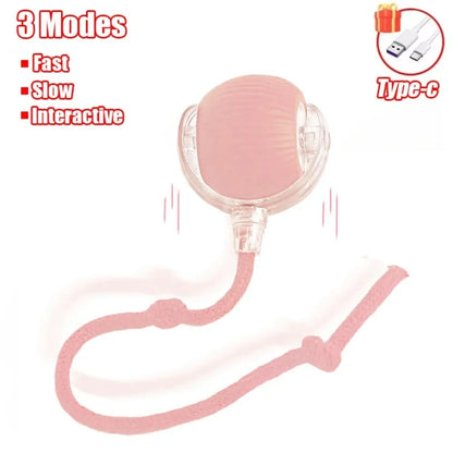 New Cat Interactive Ball Toy Automatic Rolling Ball