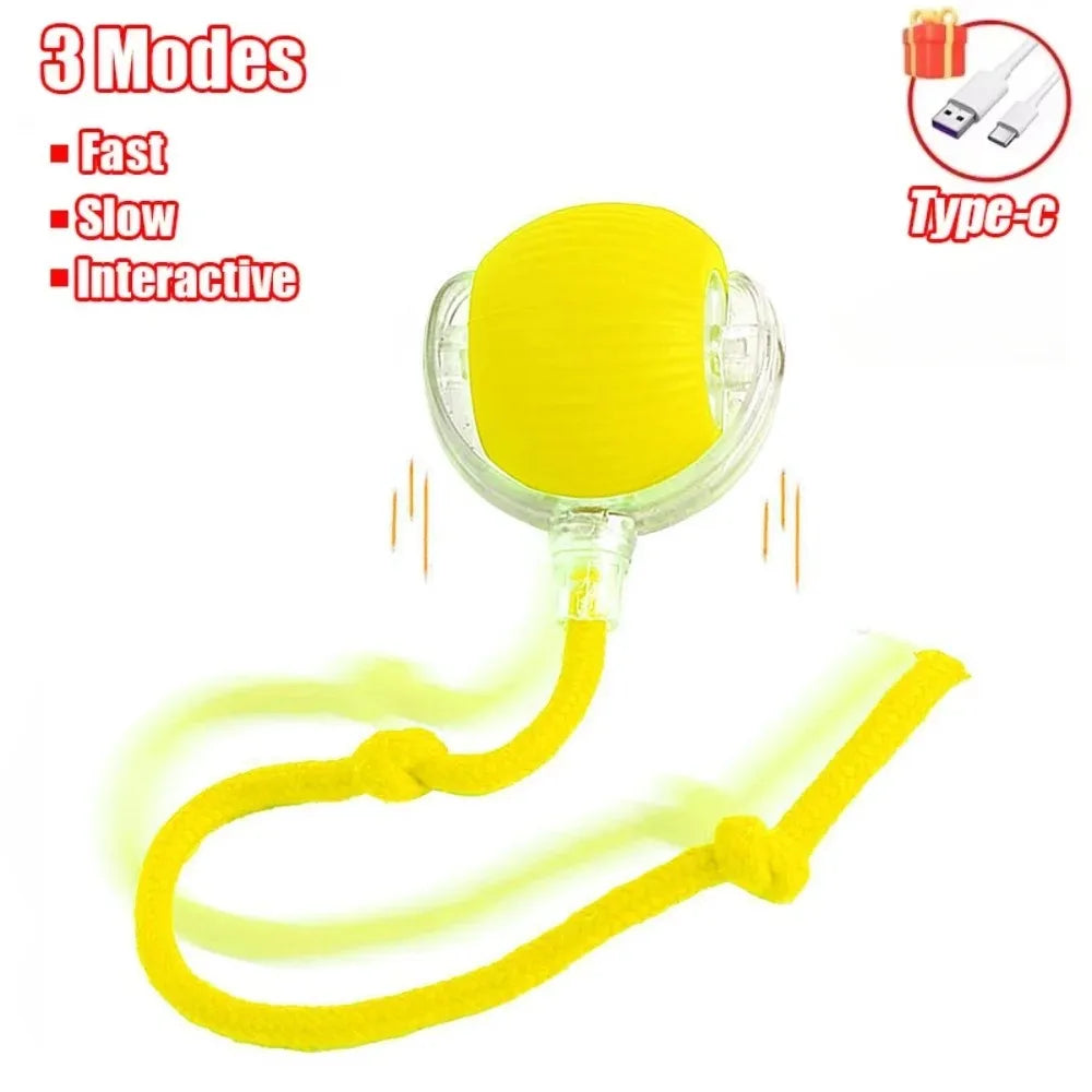 New Cat Interactive Ball Toy Automatic Rolling Ball