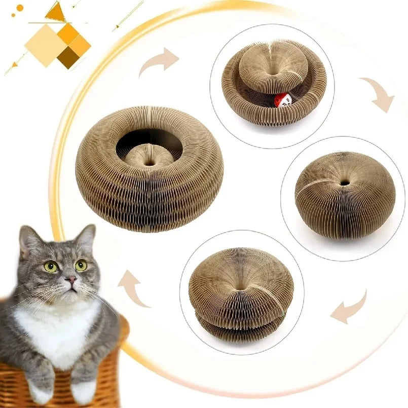 Kitten Curl Toy Foldable Magic Organ Cat Scratching Board